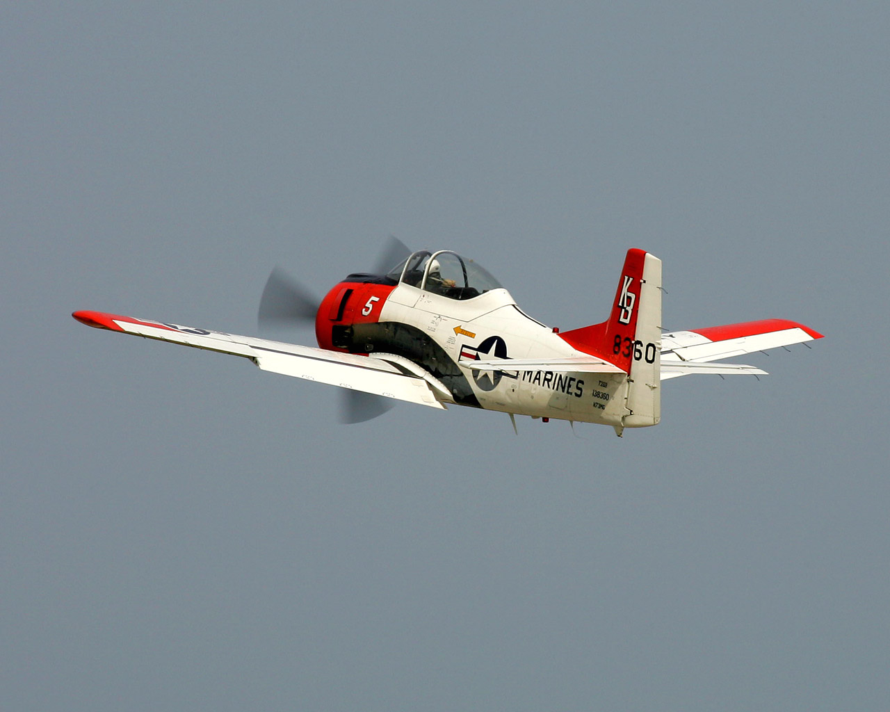 T-28B Trojan Warbird Heritage Foundation